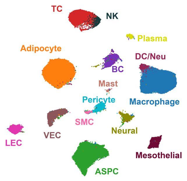 hierarchical clustering