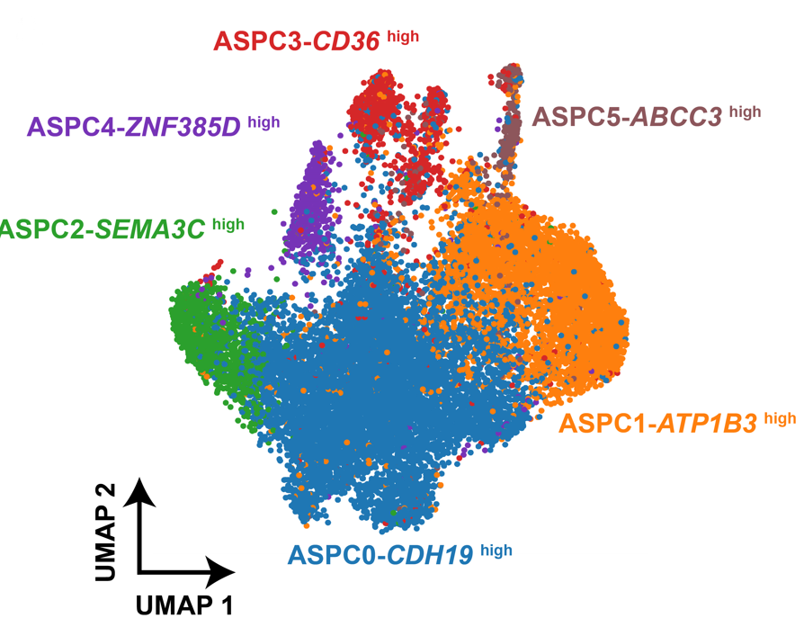 hierarchical clustering