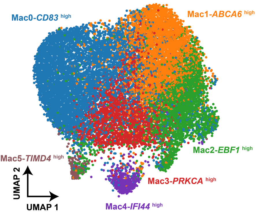 hierarchical clustering